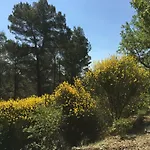 Tatil Evi De Carbonelle *