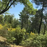 De Carbonelle Tatil Evi