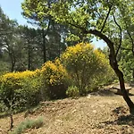 Tatil Evi De Carbonelle *