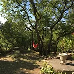 De Carbonelle Tatil Evi *