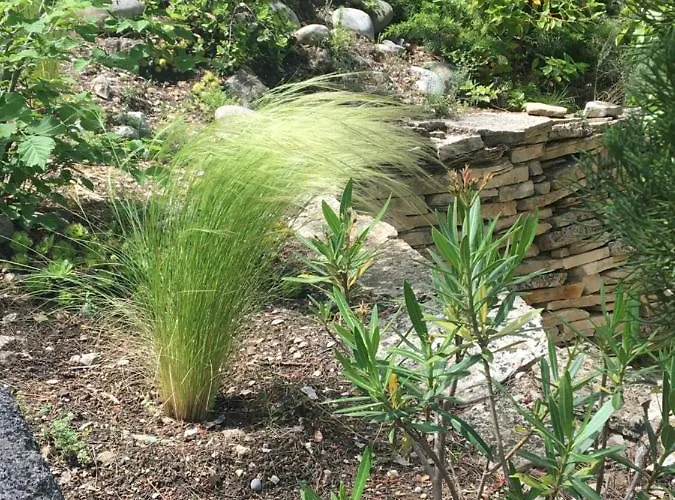 De Carbonelle * Pierrevert