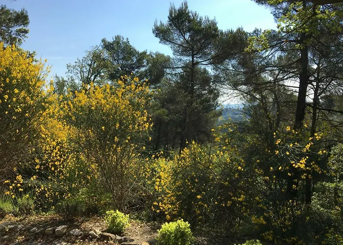 펜션 De Carbonelle *