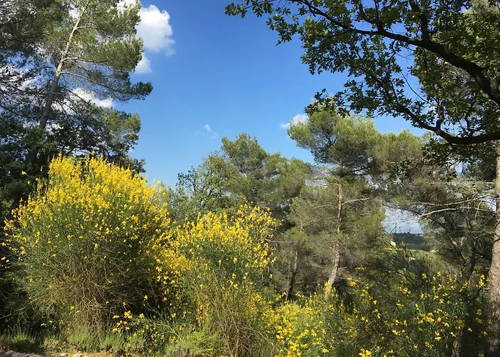 De Carbonelle * Pierrevert