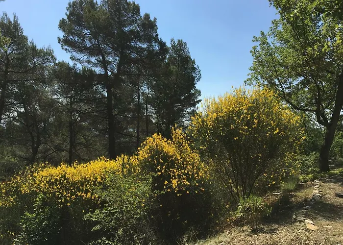 펜션 De Carbonelle *