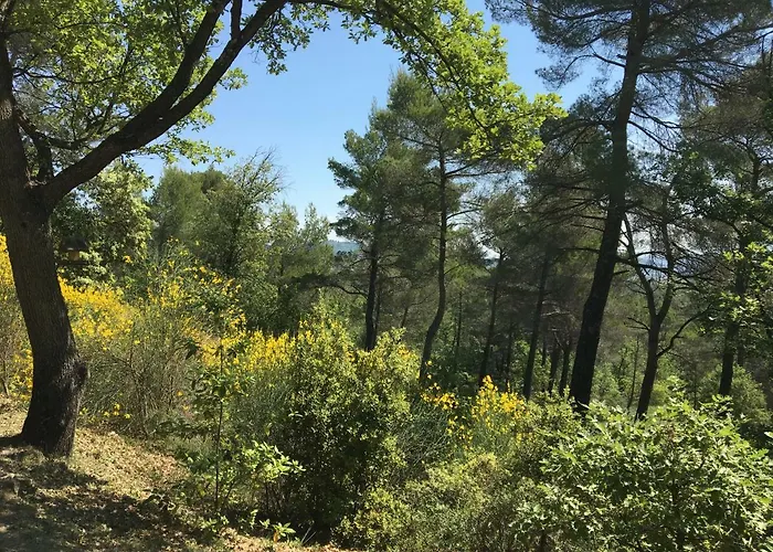 De Carbonelle 펜션