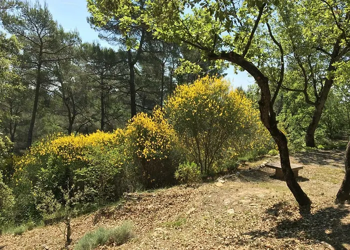 펜션 De Carbonelle *